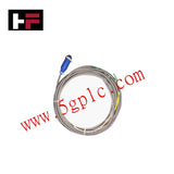 Bently Nevada 106765-25 Korumalı Bağlantı Kablosu 3300 XL Yakınlık İzleme Sistemleri için