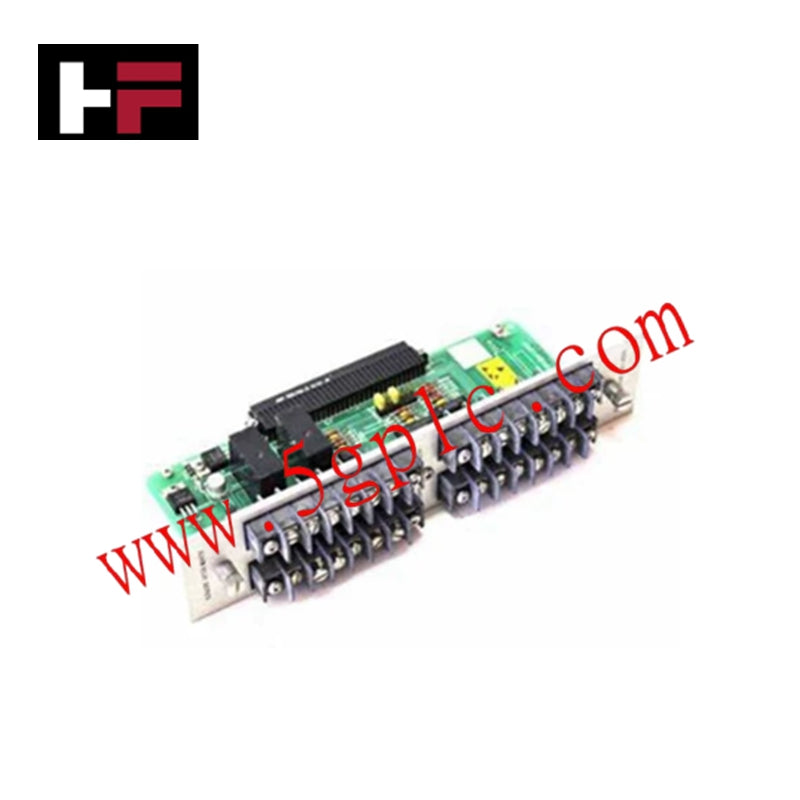 Bently Nevada 122407-01 RTD Input and Record Terminal Module