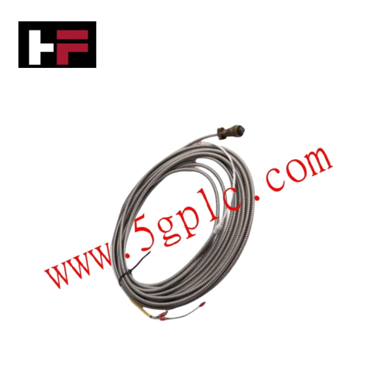 Bently Nevada 16710-99 Bağlantı Kablosu