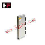 Módulo de Entrada/Salida de Temperatura de 16 Canales Bently Nevada 172103-01