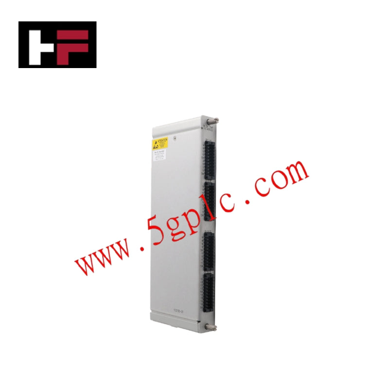 Módulo de Entrada/Salida de Temperatura de 16 Canales Bently Nevada 172103-01