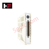 ماژول خروجی دیجیتال امرسون 1C31125G02