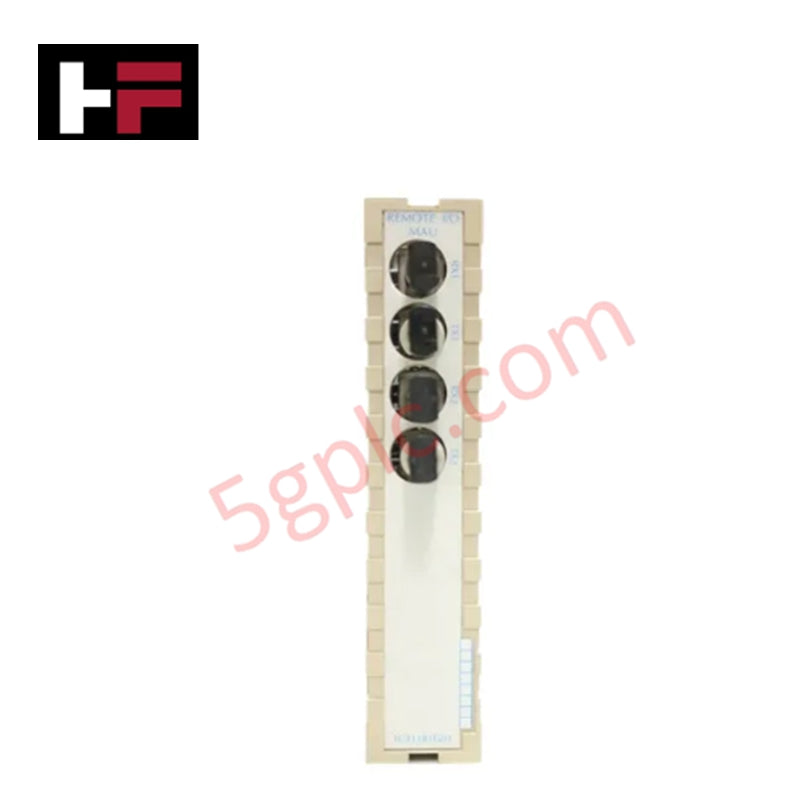 1C31181G01 | EMERSON Remote I/O Master Unit 24 VDC