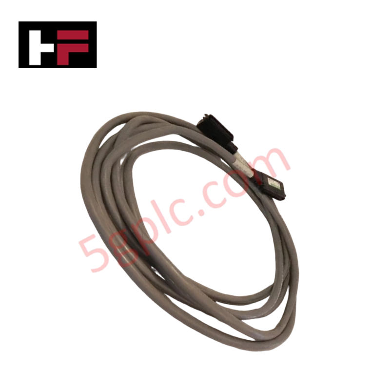 Conjunto de cabos Triconex 4000029-025