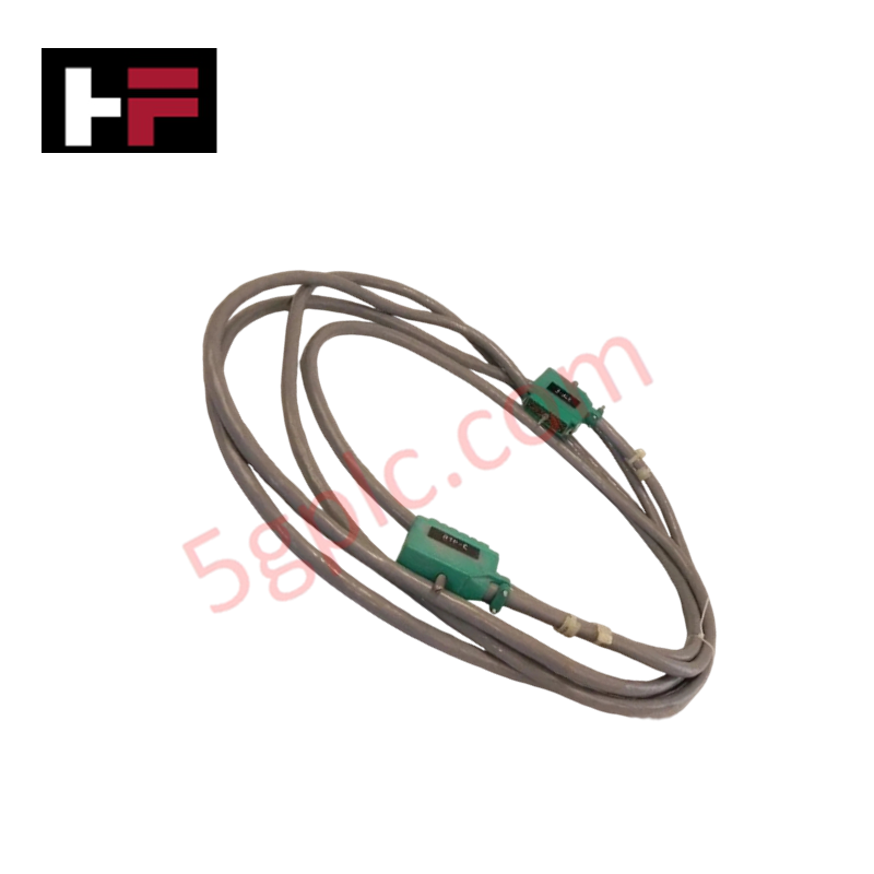 Conjunto de cables Triconex 4000103-516