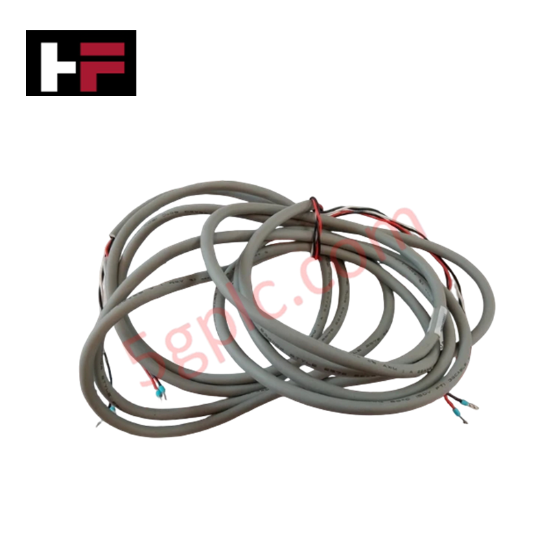 51202903-100 Perhimpunan Kabel Honeywell Experion PKS
