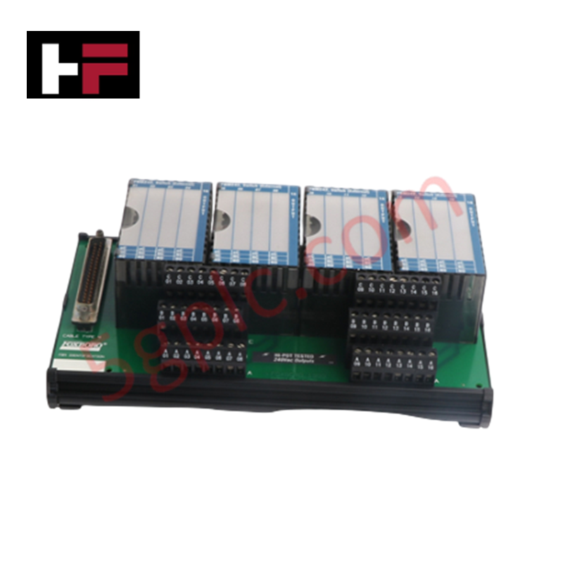 P0916NG FBM242 | Foxboro | Ayrık Çıkış Sonlandırma Montajı