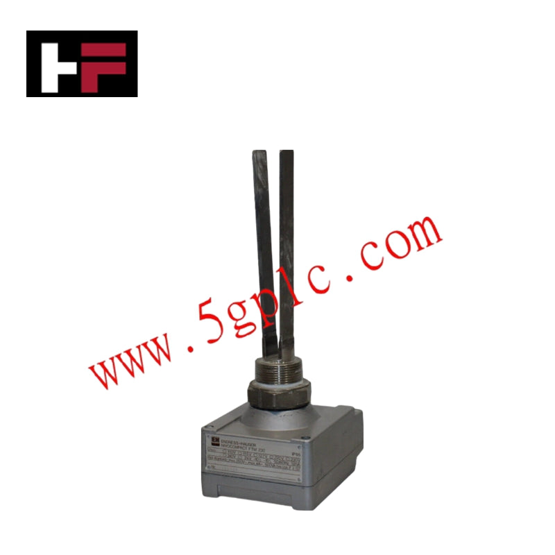 ENDRESS+HAUSER FTM230 Professional Nivocompact Vibrating Level Switch