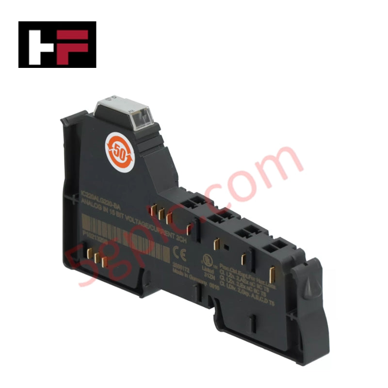 IC220ALG220 | GE VersaPoint 2-Channel Analog Input Module