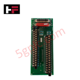 MC-TDOY62 | Honeywell 51204156-175 एक्सपेरियन PKS 32-चैनल डिजिटल आउटपुट FTA