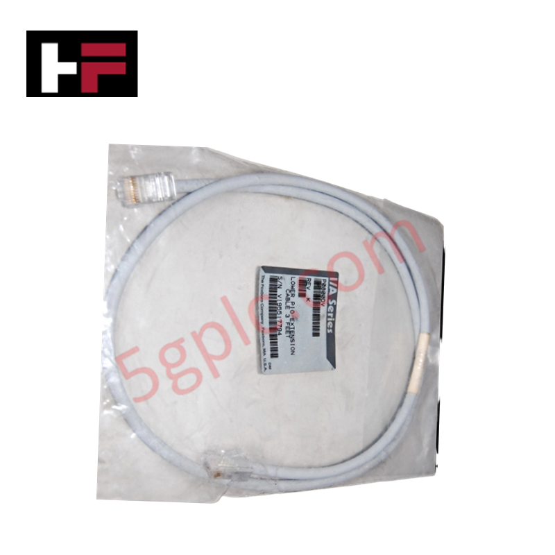 Kabel Ekstensi Fieldbus Foxboro P0800DV