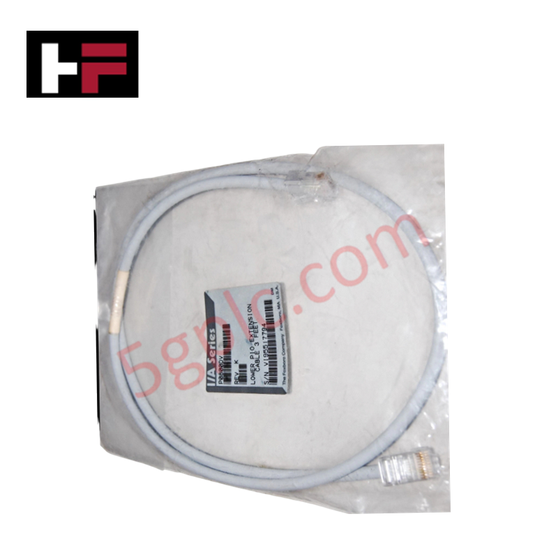 Foxboro P0800DV Fieldbus Extension Cable