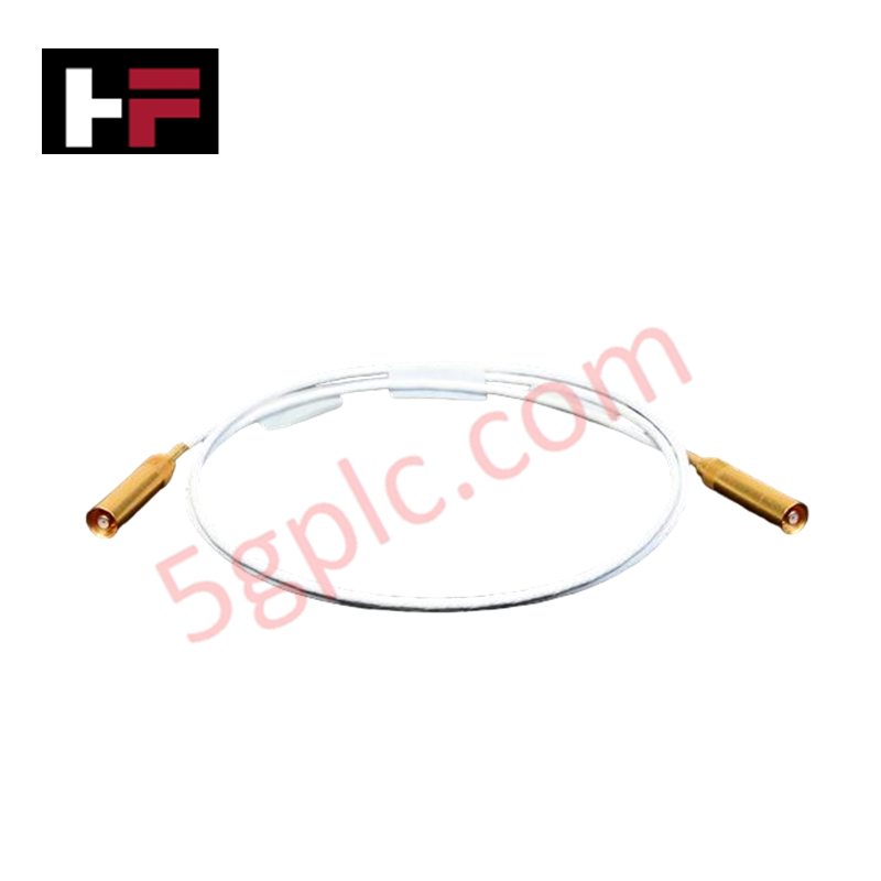 P0912CD Foxboro cable puente SSBA