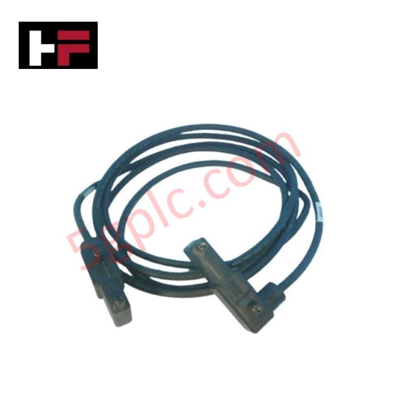 Foxboro P0916FL Cable Assembly