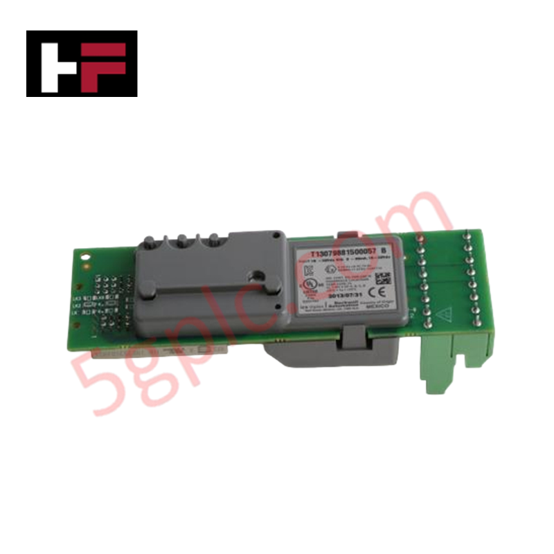 T9881 | ICS Triplex | Analog Output Termination Assembly