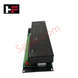 ماژول اسکن آنالوگ WESDAC D20A GE