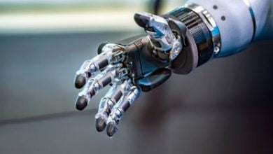 Humanoid Robots in Restaurants: Industrial Automation Expands into Customer Service