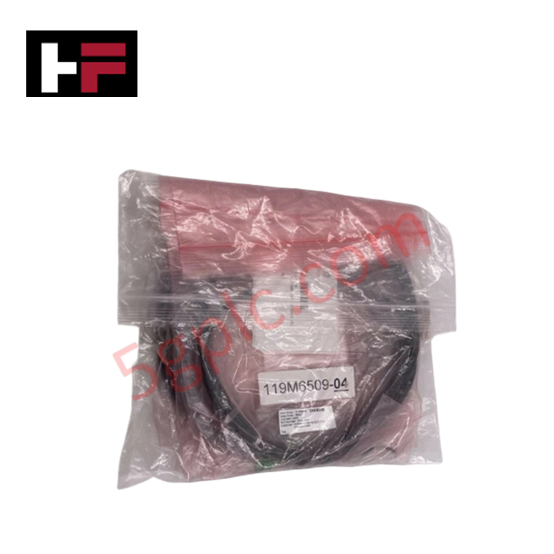 119M6509-04 Bently Nevada DC Power Supply Cables