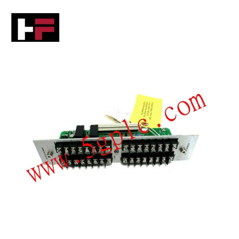 Bently Nevada 122407-01 RTD Input and Record Terminal Module