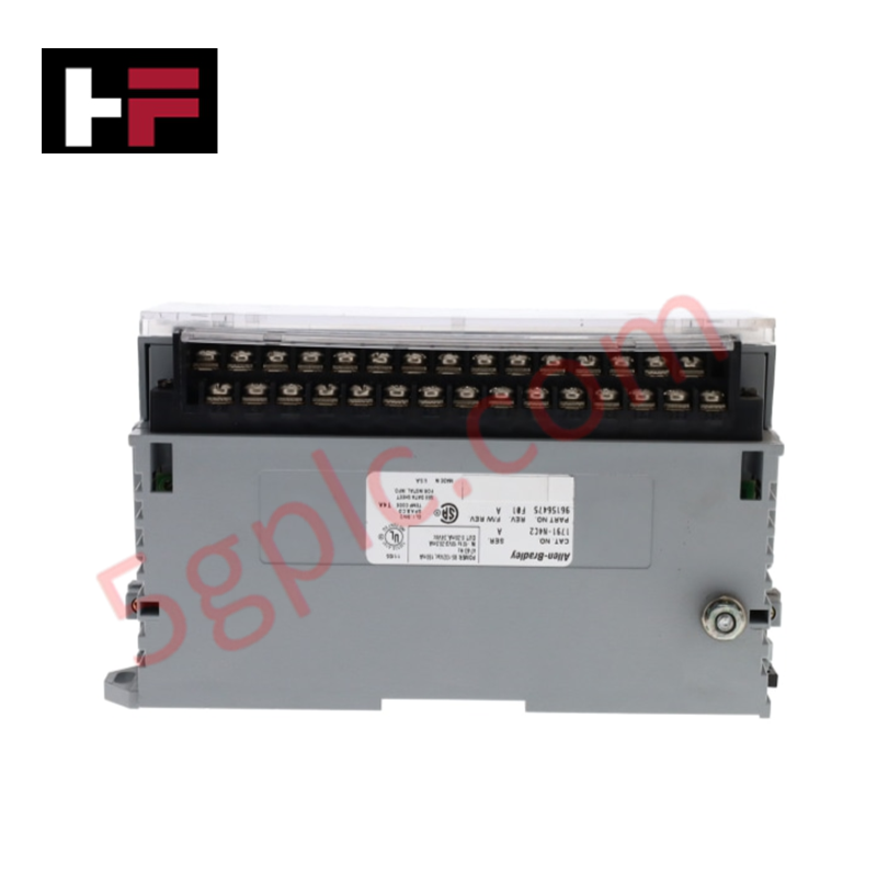 Allen Bradley 1791-N4C2 Blok Giriş/Çıkış 4 Kanallı Analog Giriş/Çıkış Modülü