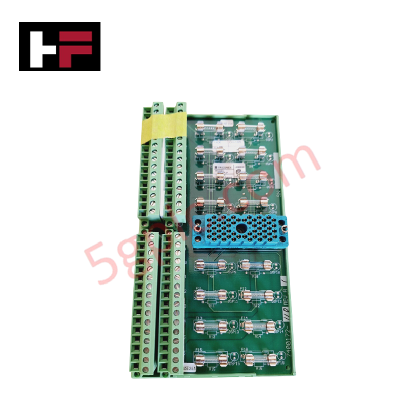 Triconex 7400172-110 3000590-110 Abschlussplatine